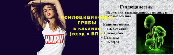 молекула духа Алексин